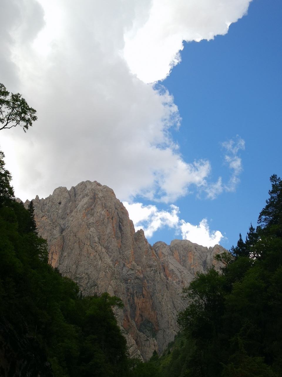 POt0O1Lt91fsMZ_6qTma-ByVD9zuL8HGeKATQ9SYi8spabz7ZcrUbo07zBDn64L1