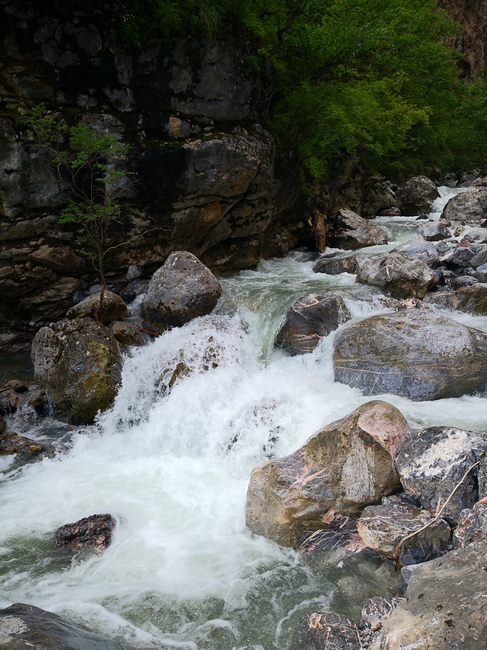 lzVTzF5T48Oe95eGZkJeusbLP-ZXueWwxsY7HIV7G-wOF-p7ftgCduX4PwublJCs