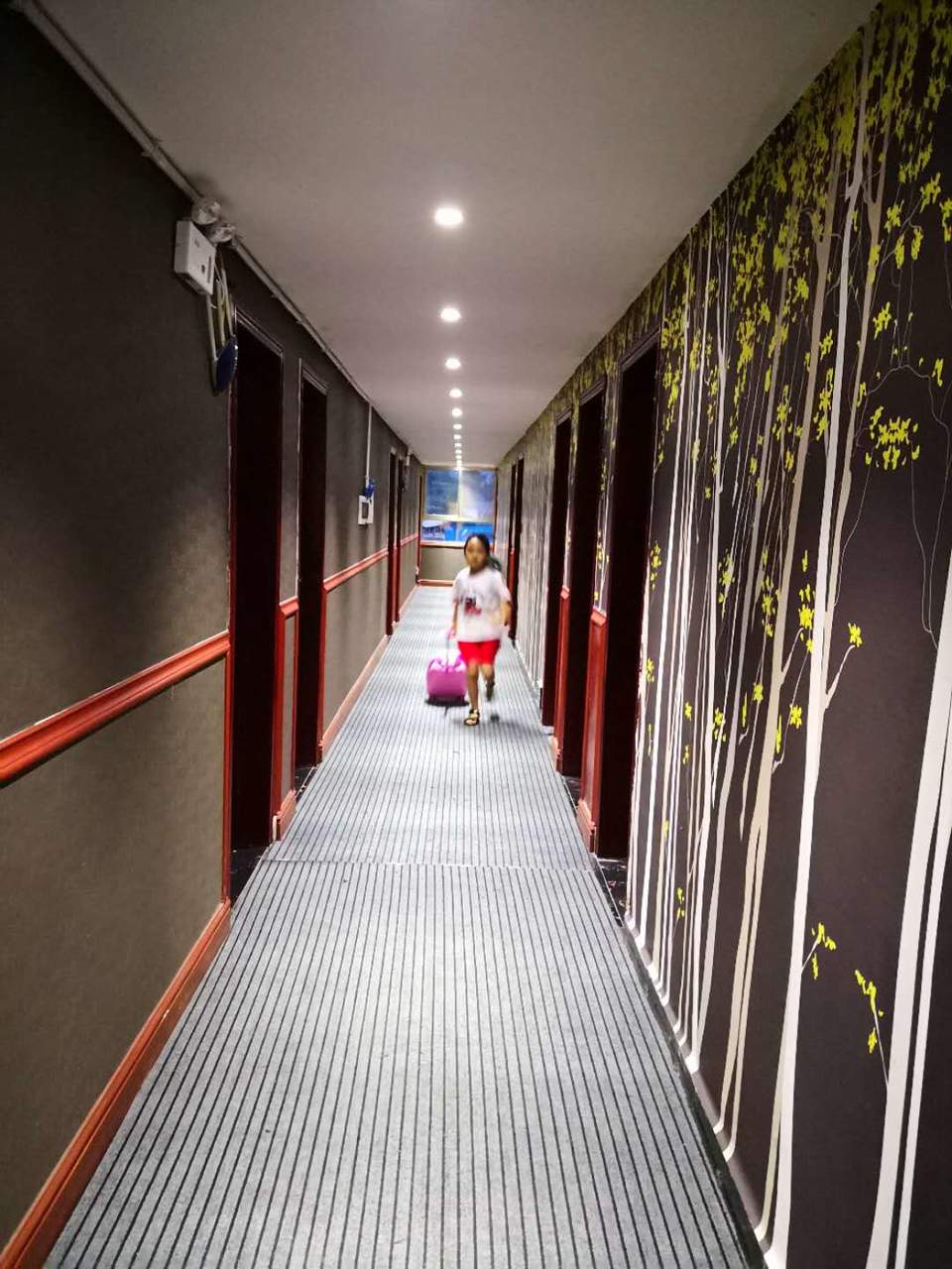 y7ZmWOcLlzmxgcm3QwNqdaR5hLM3LX9wT5065MMCC7RyEMmqHZCCn0dEb7OYak14