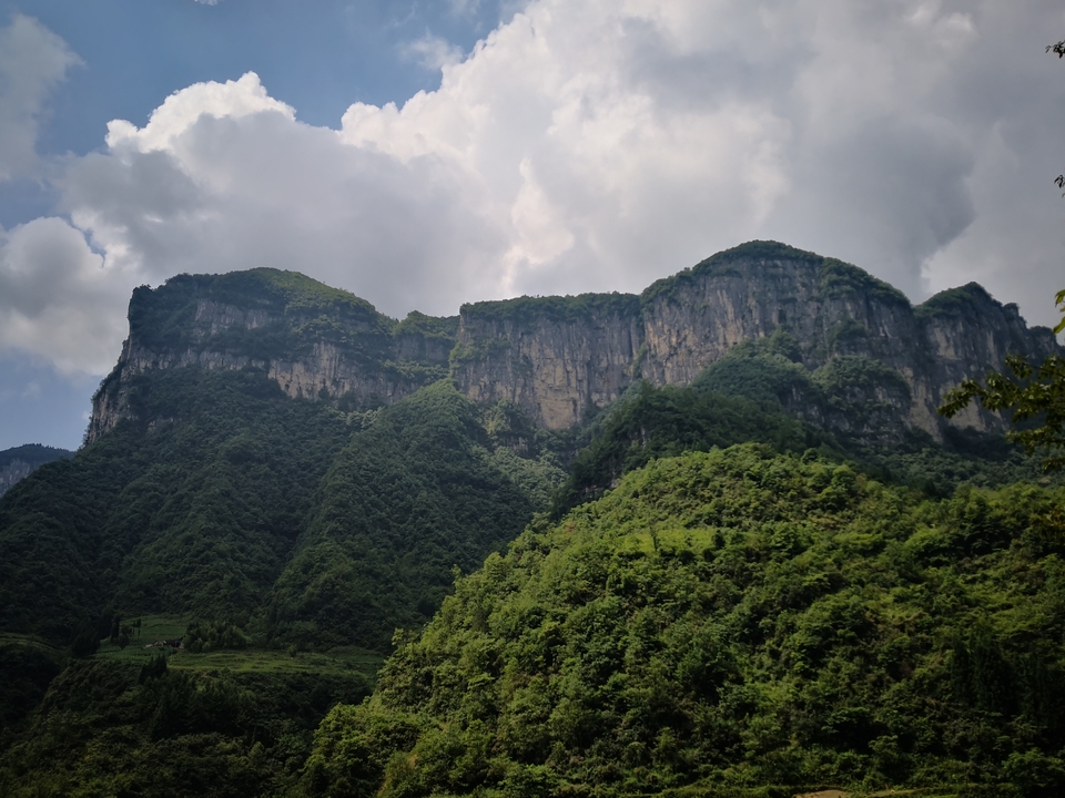 E4ZUdz_EcxTg0xsPqQyOZd9a-wBa0OA09Db-CO9bjJ3TGRI843MgM55kuStVavyP