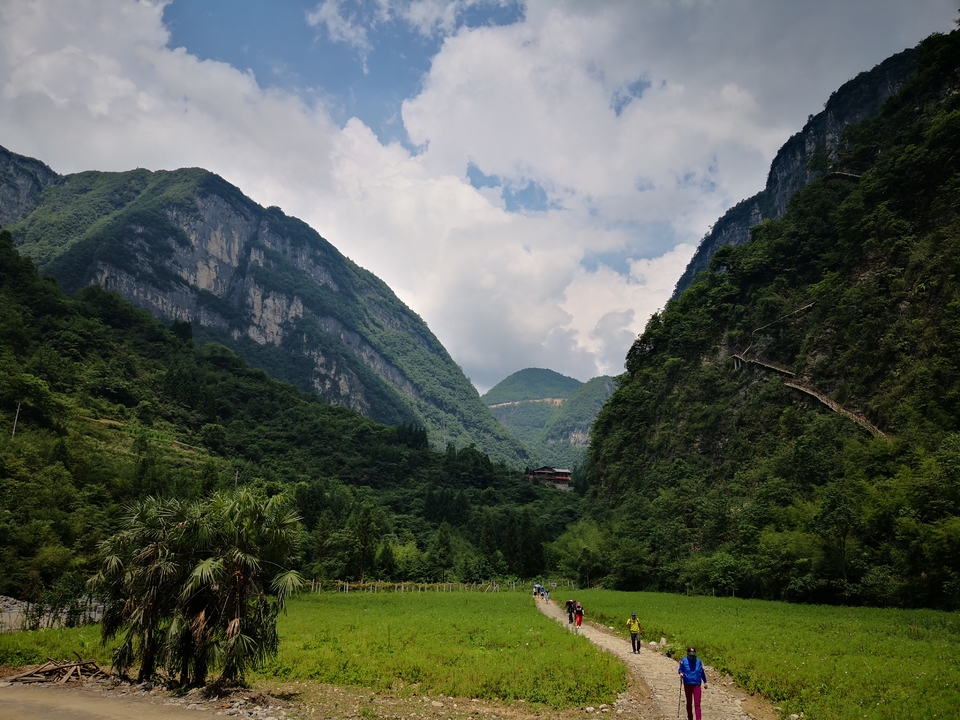 2LV7MOppeEt8R4usoxI9DWuRI5c232MqL4OkRQ56a3hnAljqkfurxTY7_o-_O5SI