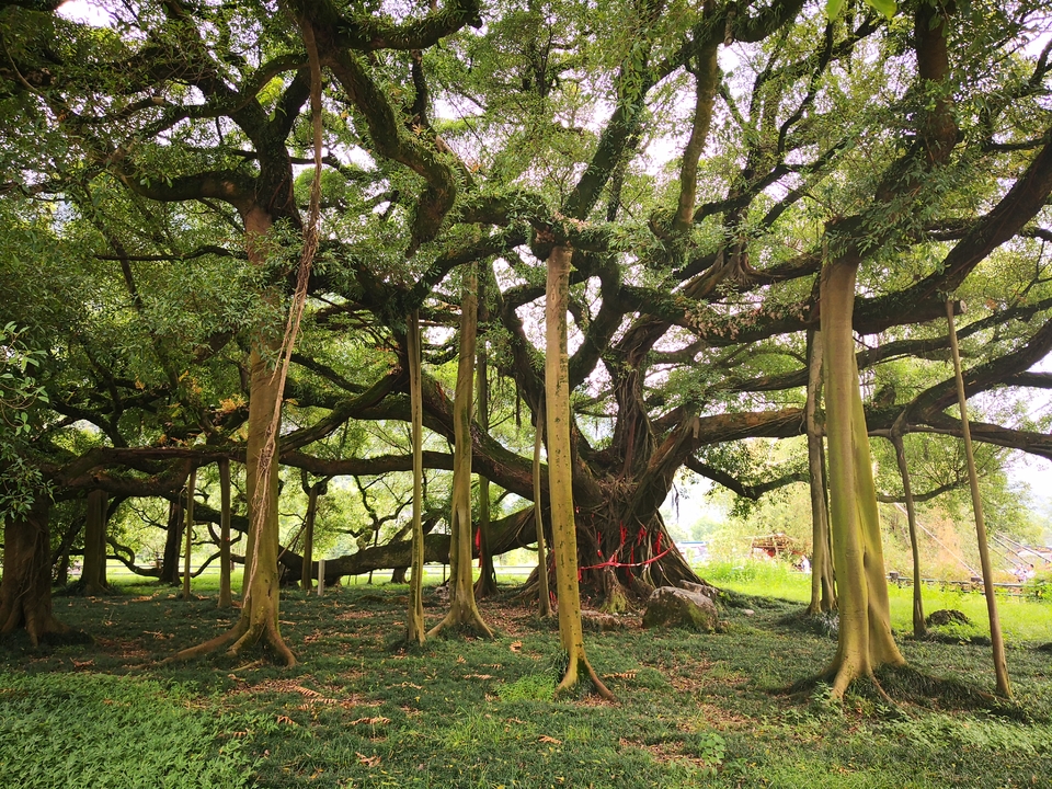 VUsgED5sKtejpSJ6Ku4VJEvE-X_BBf8DsVBW3eKnSsAOFZsoyLEeAWEiCaCm6SWh