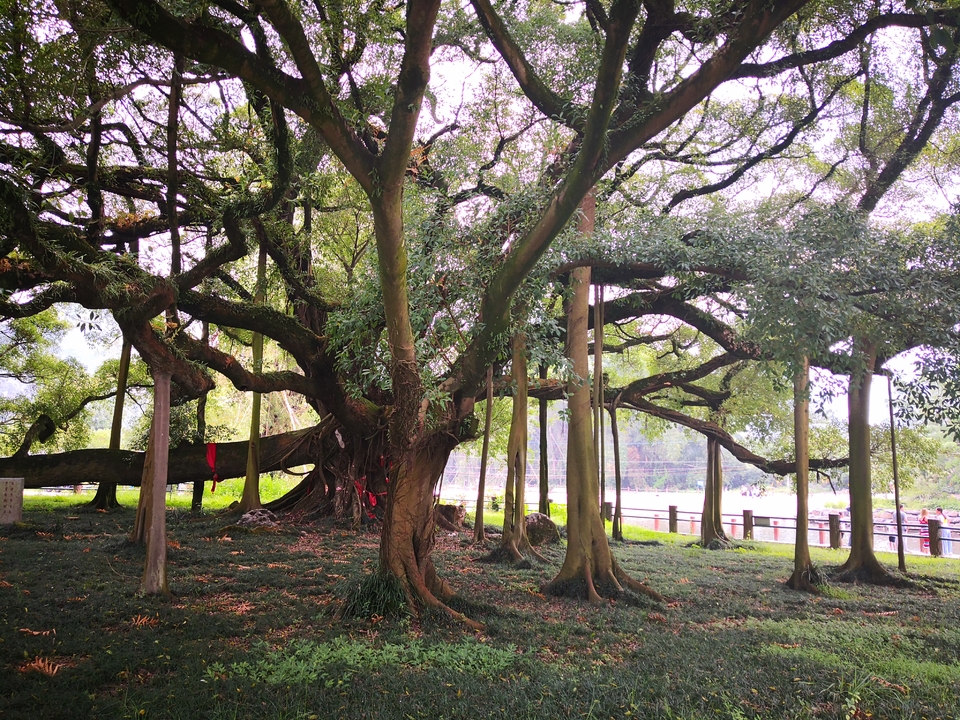 gKCxyQ05EtnVwHnXAbi3vRtv1WVFvuL5iA9QaF4xHHJh0ll_QBl8J9_BYuCQUybU