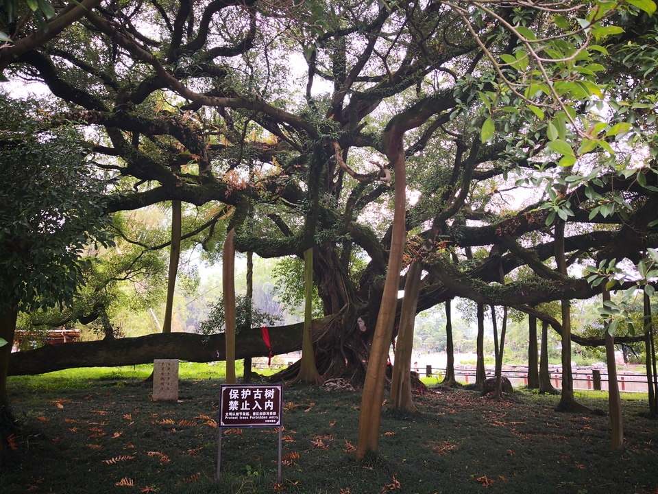 4r4yUGmjjam_4bTh3EQhlmCheUUf7XfIz8CGEKvfNy8EKMH7szQ1H6Kuuj3kWCMw