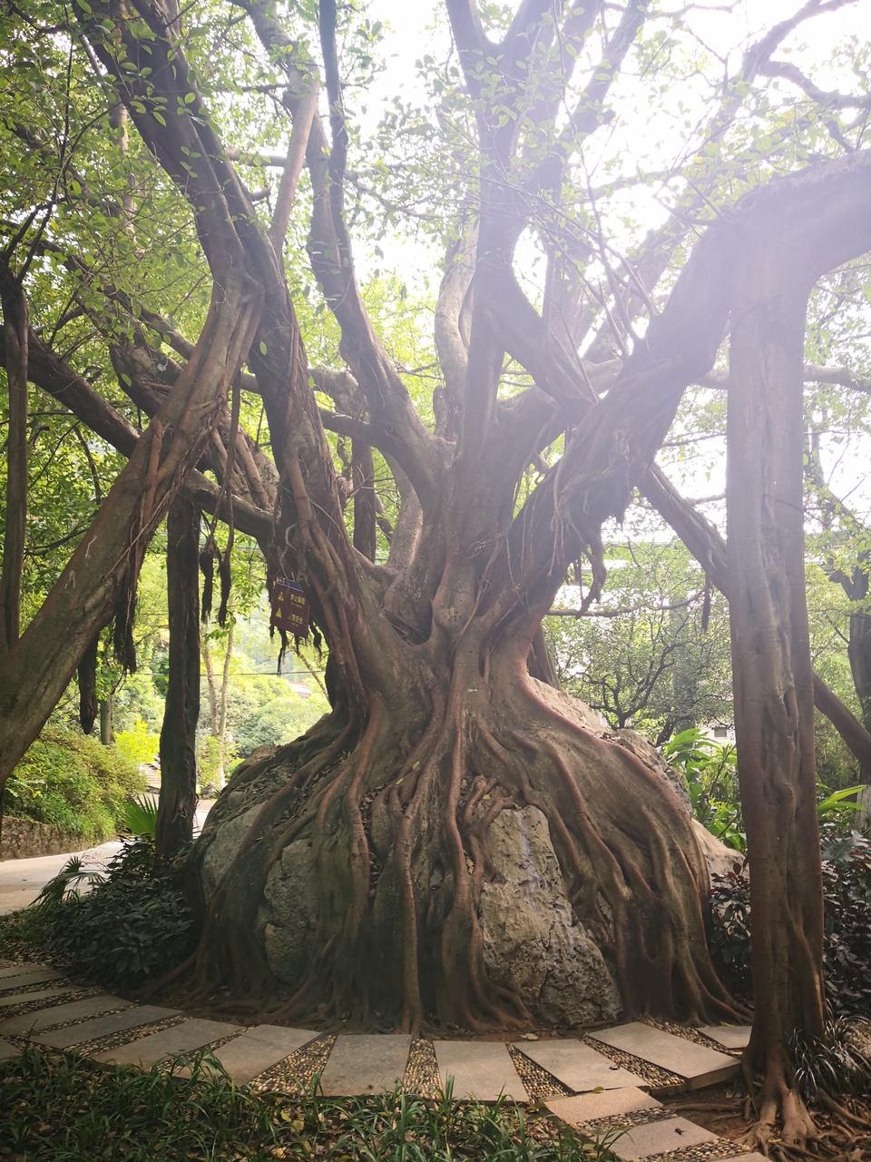 hV9bbQ1u6vcBmSOU1KATq2H1AWyl6NaGHYZW3gcVue2VLwdS_4FYKOK8IklA0u8O