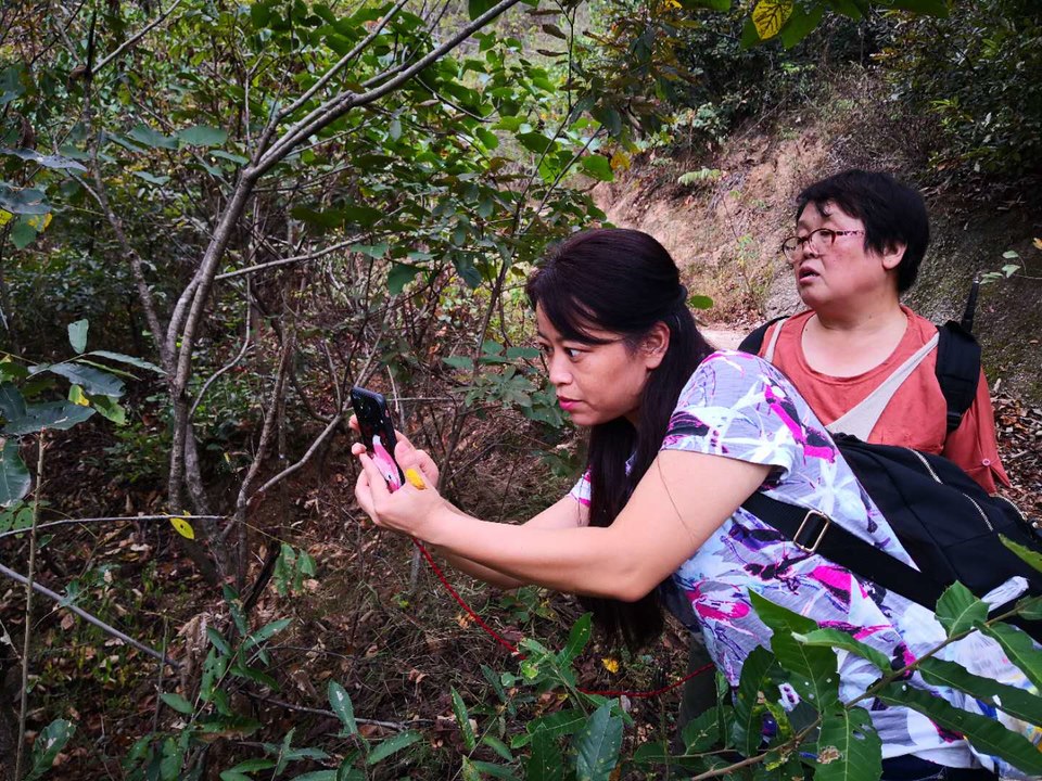 36Sm2GH-Fvs82KrQW7nAuE6XlDueF3jvtoX30ej9n0TY3WNrrQLzUmH_Alk6EuDO