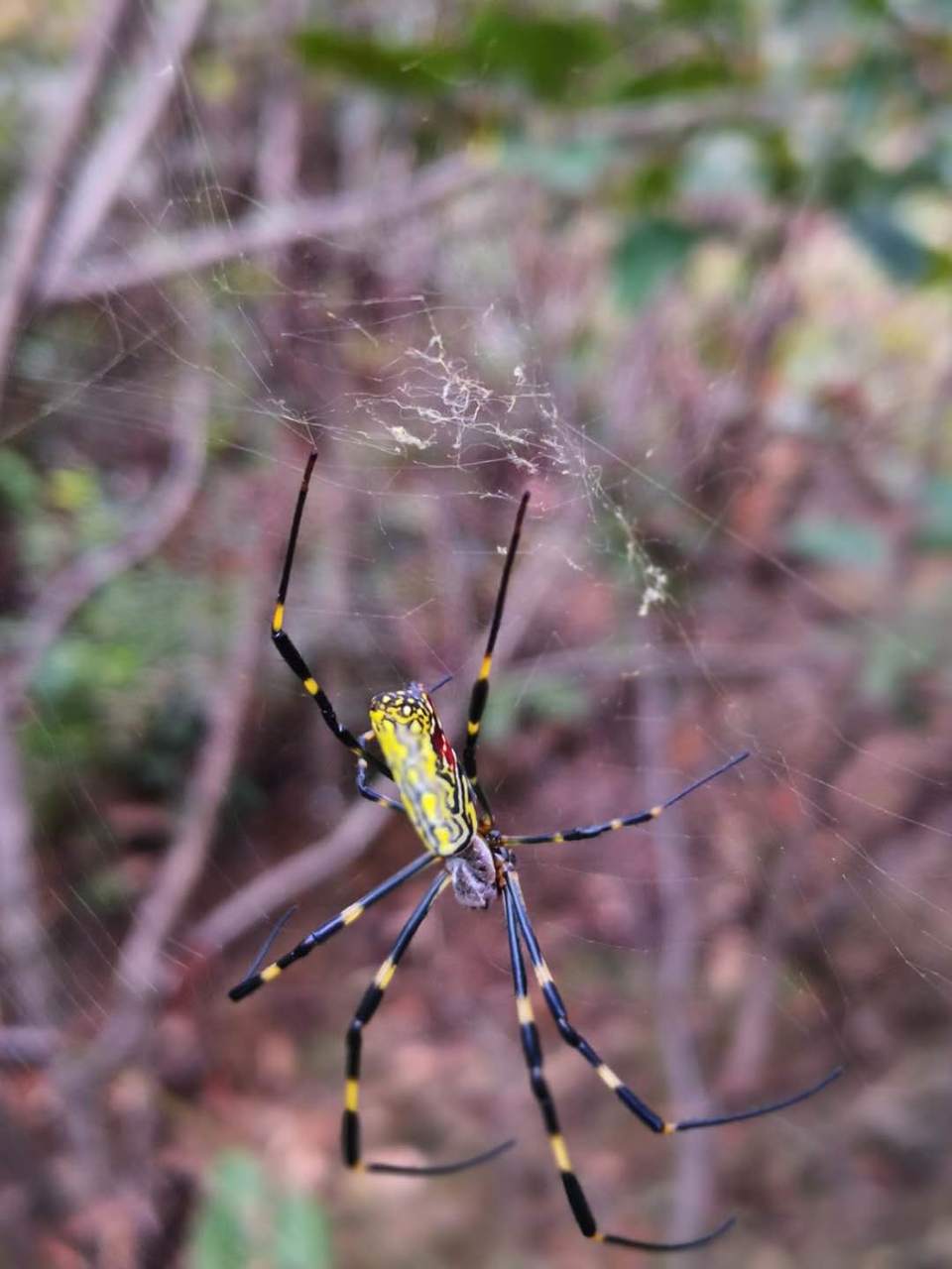 hEc1kSQwzEi4PEz4L2xPH7R0Rncml5FvJNzqSJjykDm2grTE-qwC-W8qyc4traR3