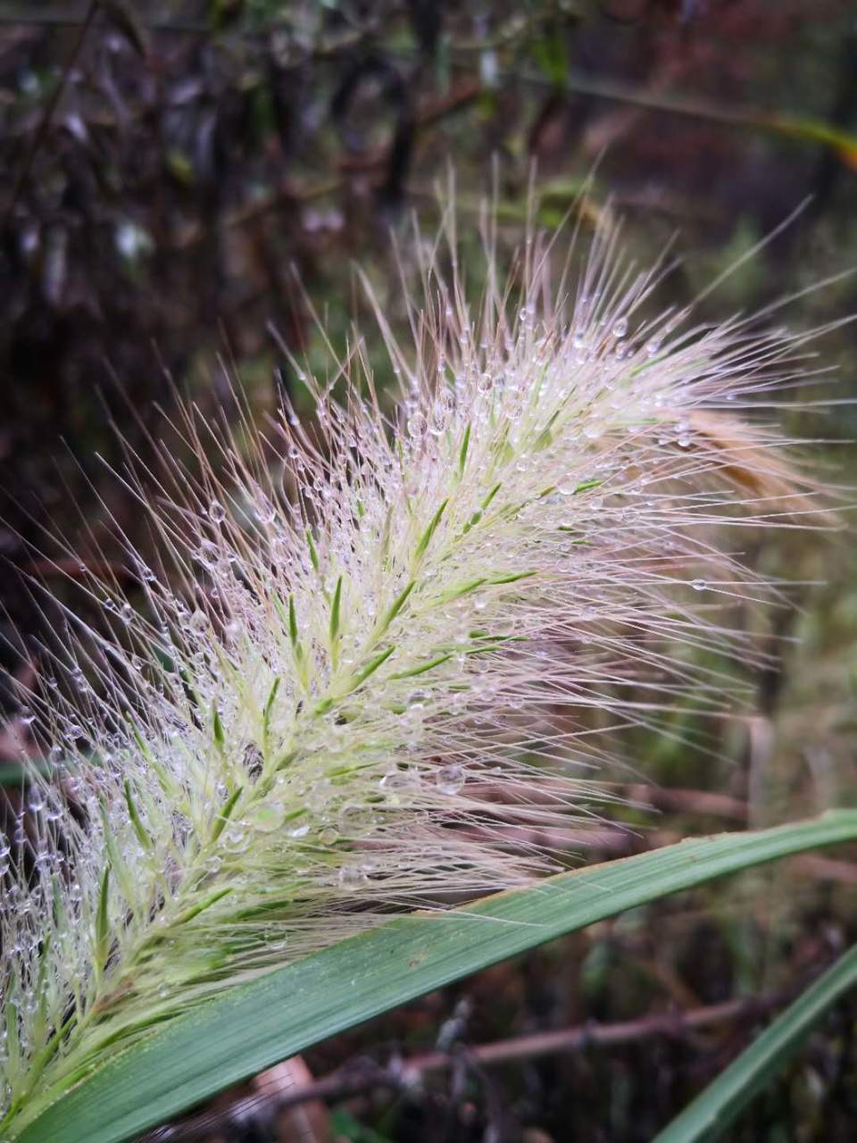 sGE8vstUYeXYFLn7O8jQXpfWenwmHtOqJZ2JCxXRM_Db25XAcCLxzizEZA8YrNTq