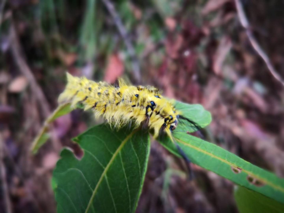 pOxbhLHlK6qJUt9VHMLNCp1qm_qYLsUJhkcg40aA1jSZ99YbsbDP2vznegH4hU0m