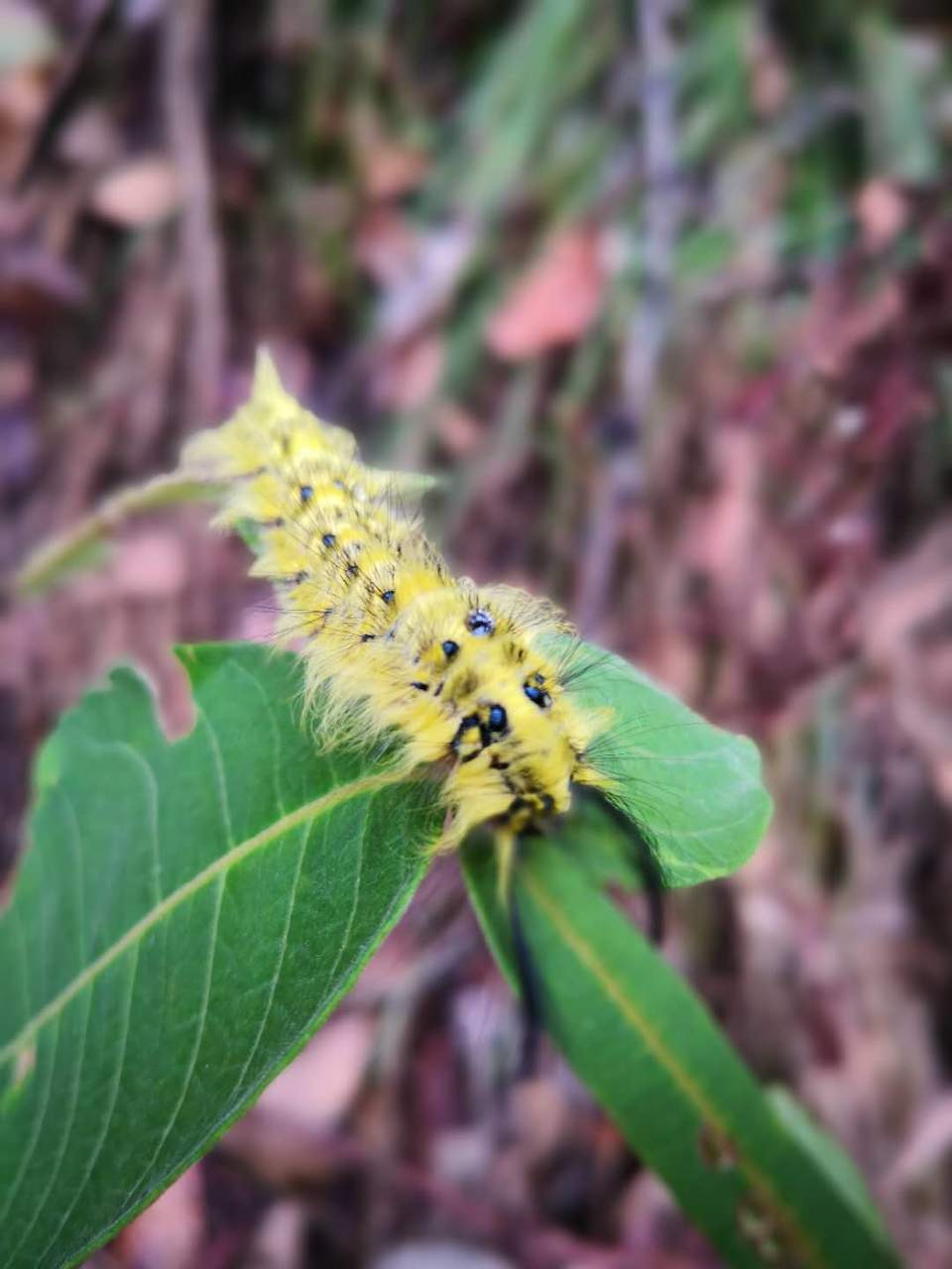 _ffAt2B_02FjHnDIUxA5RVPNJviVQP7H7XcDWiO0uBfOiUQEZOPhflxdRqdfc7kB