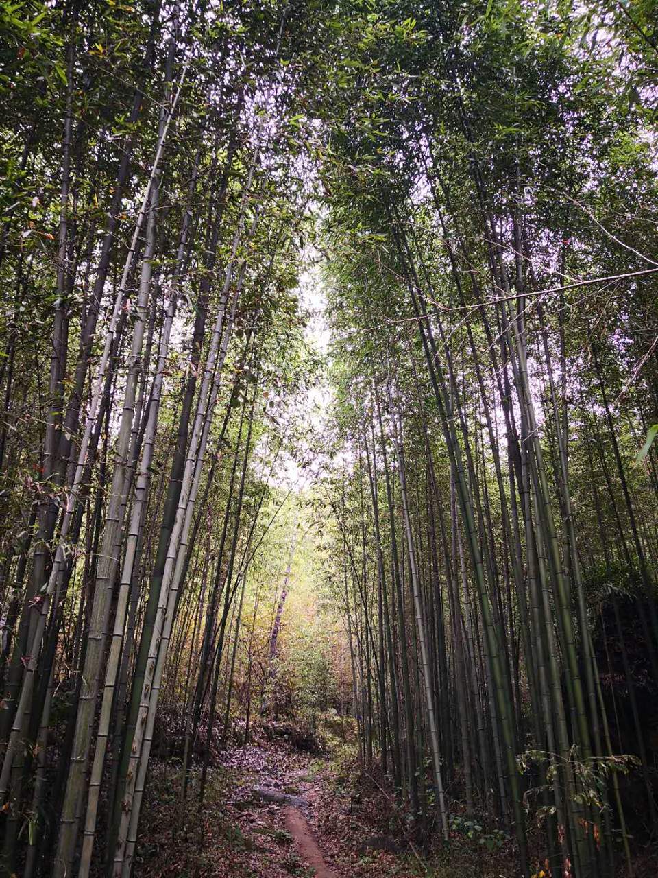 a6Z9ZHdJm7rQ6LU_dGtTzdX0RA5G-zbKxe4xNgLaSdHMSATXKqtCvAg4_iMMSK-7