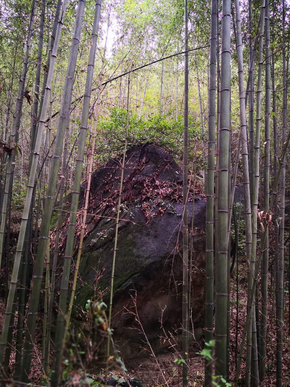 nctNqqCMsZHRKZM1hI32S4mfCu4cxRNTRoeeb1iS3uSsQcp83CzCRQI9hxqTOPD7