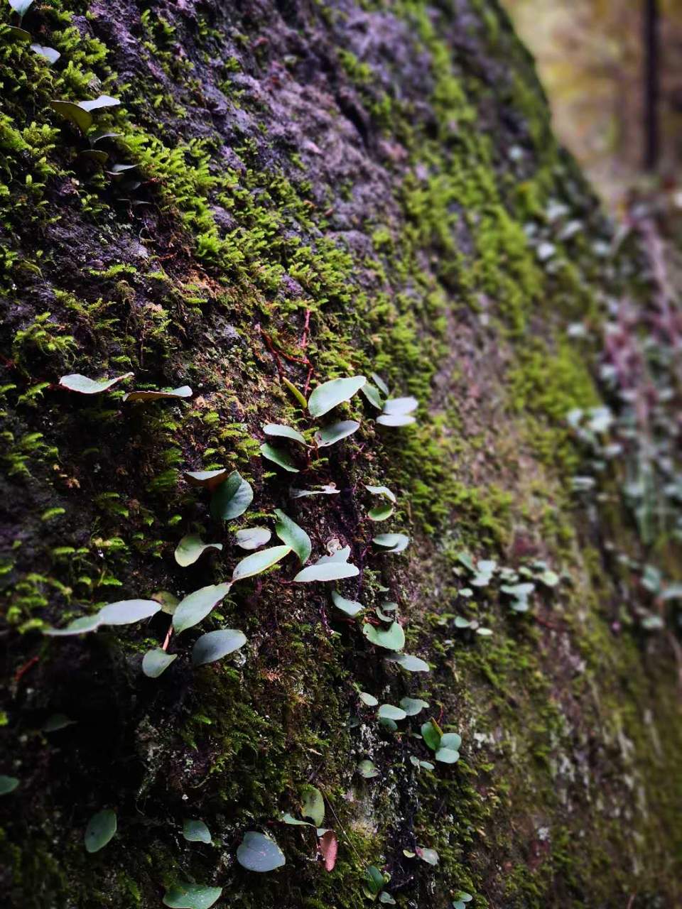 zUE1q_ykTz4s22EHBmYAe6dAiyZmag4_SqXp7tE7jZ83a5whEdce56fT9lapC-9C