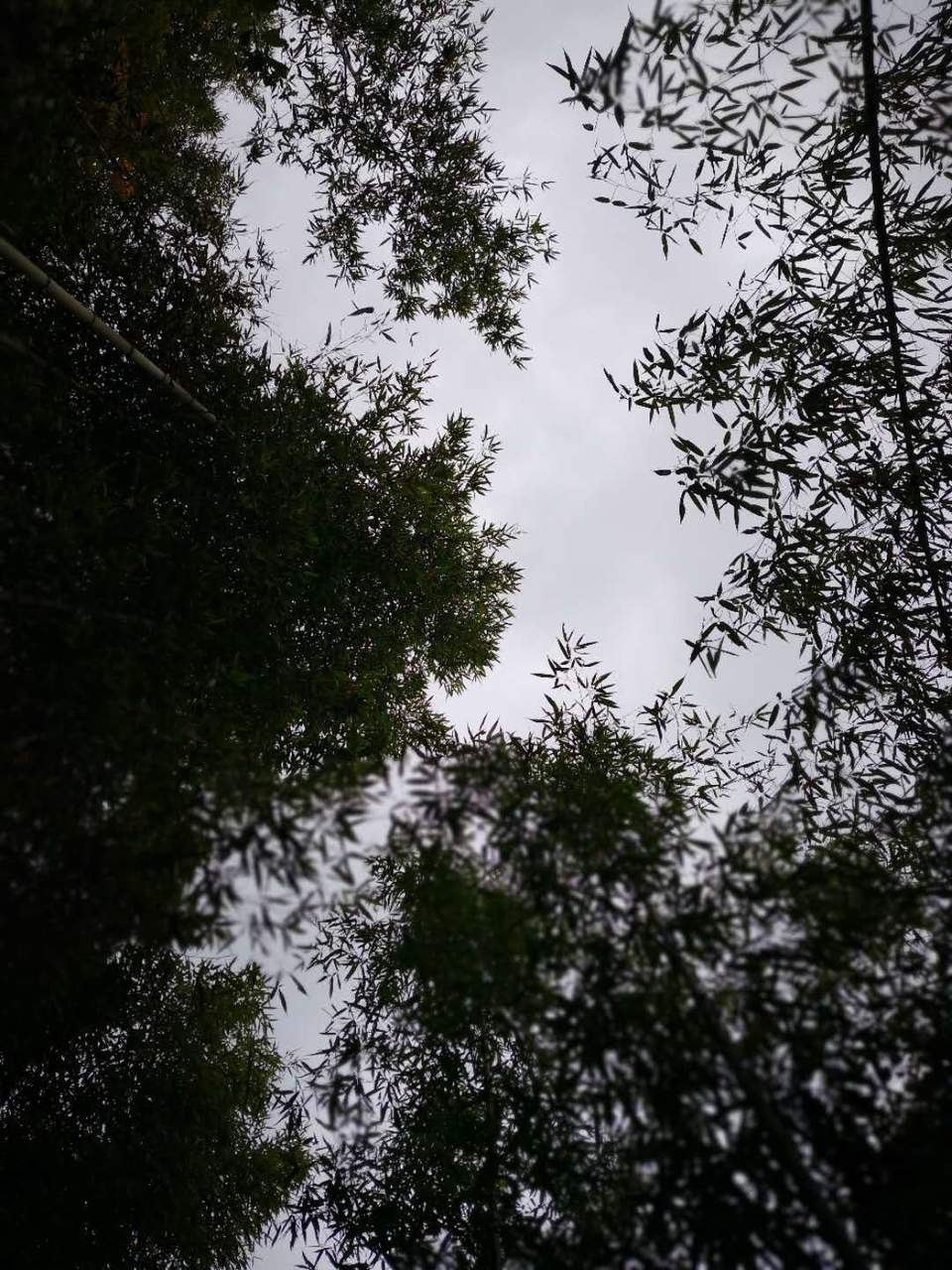 4A1geT9ec6SA7qG4pU57pna2J2YxxpY52ncuXO4AnkiejadBVg0bq9DHvYmbcQUY