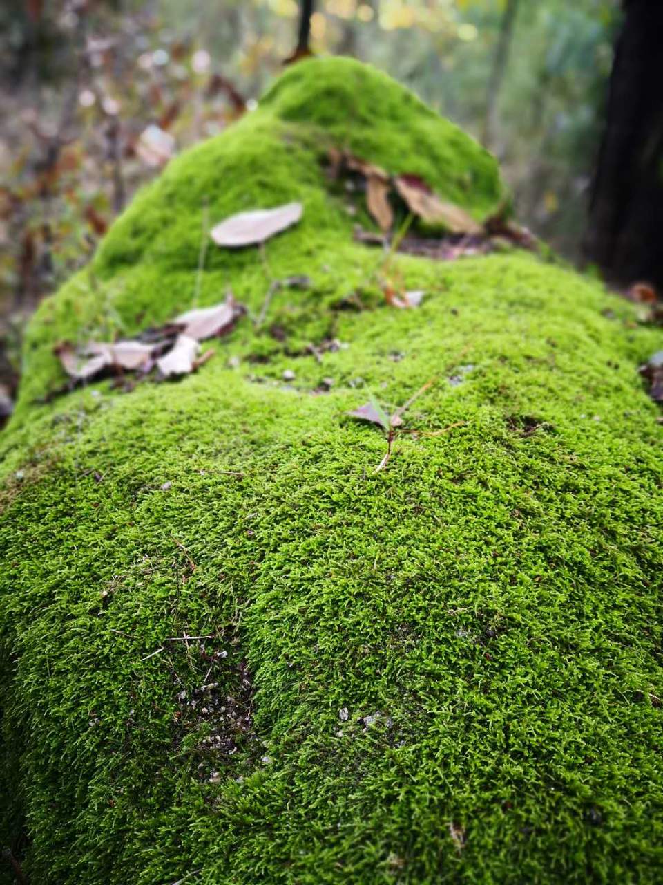 mqrVdhEwA64S_a6ruUhMjY5BbhDn1cXJ7r-50jPqdTjWAh0JhoFw1thD6lRBZTlI