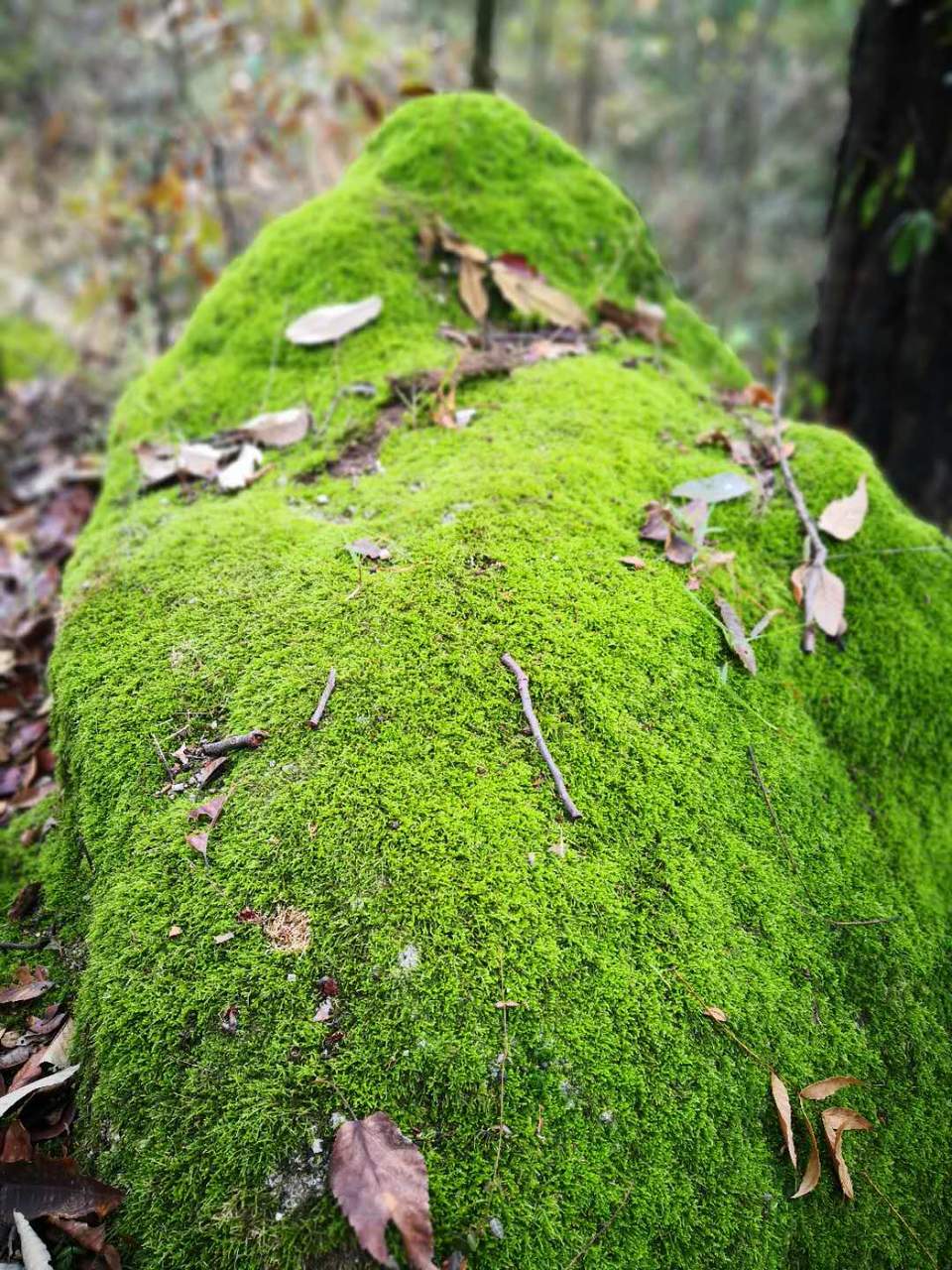 2O2KhdTuHguTvqjFYWnt0NUjnWSiuSM5jewOVbVxUy34WKarIchAq5-KGeugTUbD