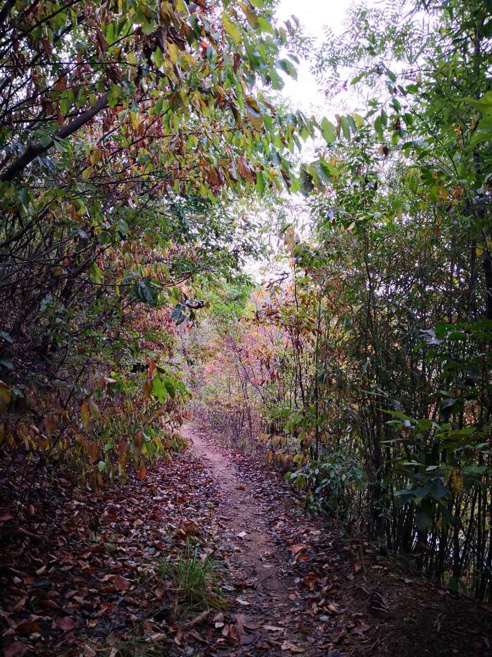 03uvh21hM0mJEkcQvsMTwnCPp-IKPCtEANd-EC6VrUadj8IxNcFtbMOJrXThNv4q