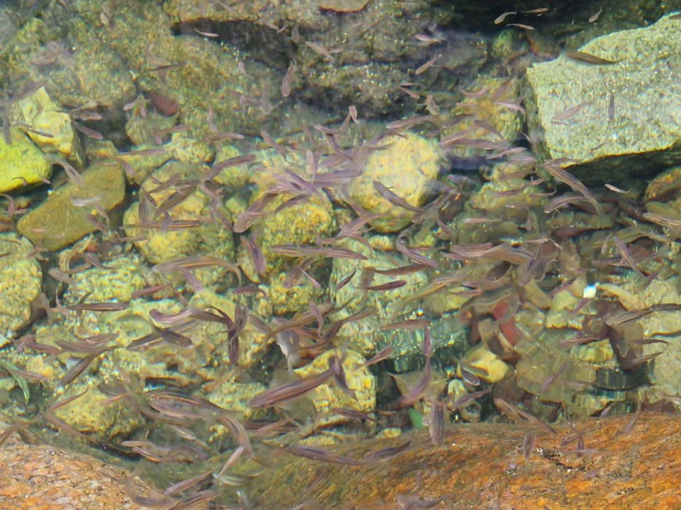 Ww982YK50ZSG7ZbyKk671HJIfS9vsUVJ3LJ89koBz_twA8mpfrYdAvVcIxVDbzKe