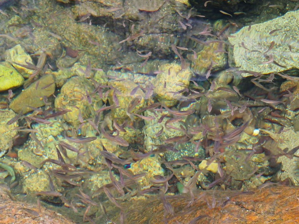 868j72ENFwCKvV_AWh1Xb4QOD92kcjHkaUXjCwGxZdFRyGiav6Gm3iOd1ZrlA-CC