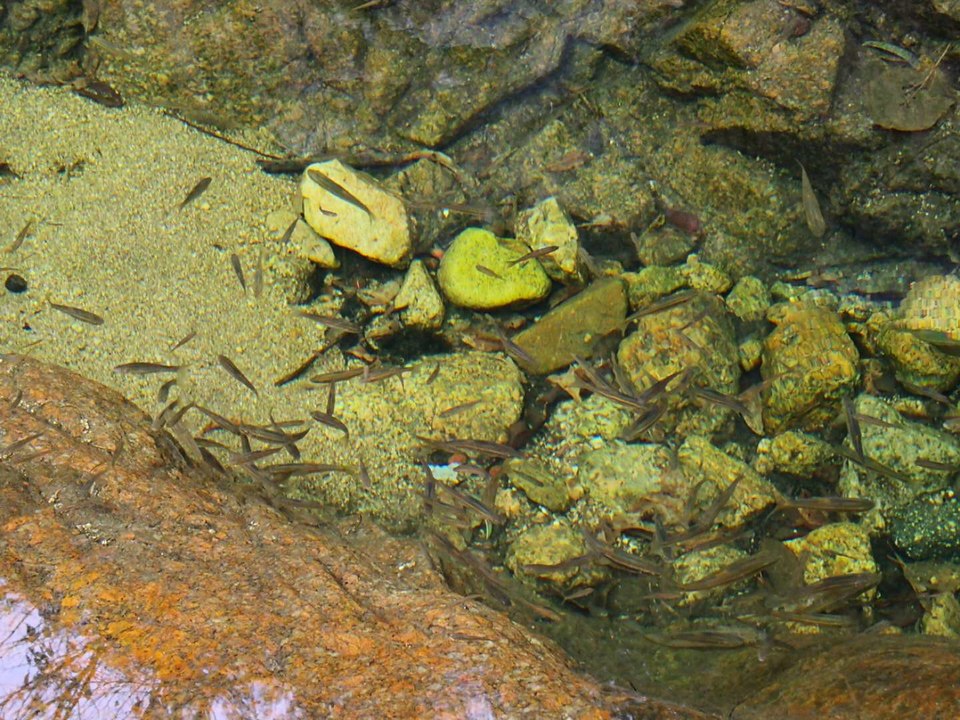 FmRmt-8tGb9OVyju_InyMQdRGaWDTmf7fh5AJTF6TolYD5ap5v7beZENVvAWZD69