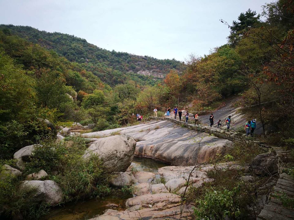 IaRZAzYtnlrMW05Af8jGnZdjOeRFsgPTDQw8_VFaDVKHSJhOJmlYvAKHNdlvXOTf