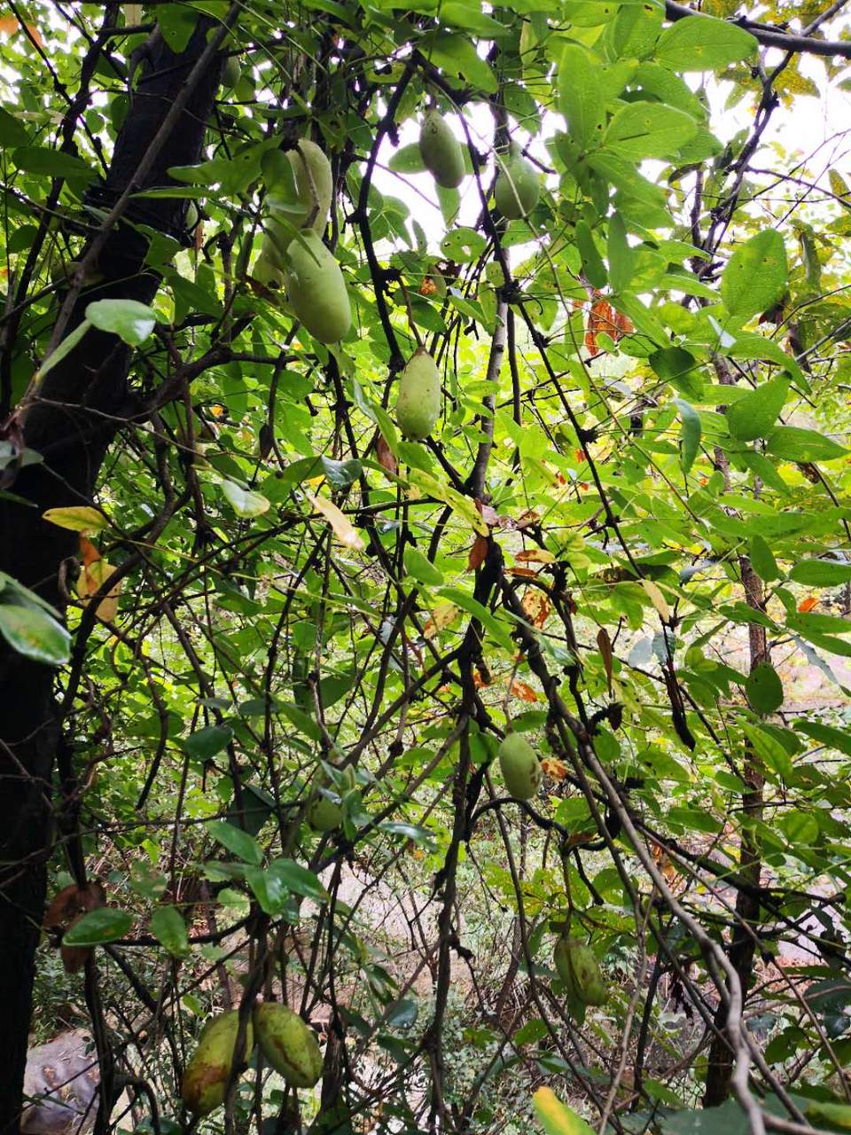 xrFB_zixa3aQXAKtYydI-0v9whAQgzEbagw87WzMcoPjHXNDWIREYbCdqHu4B2WL