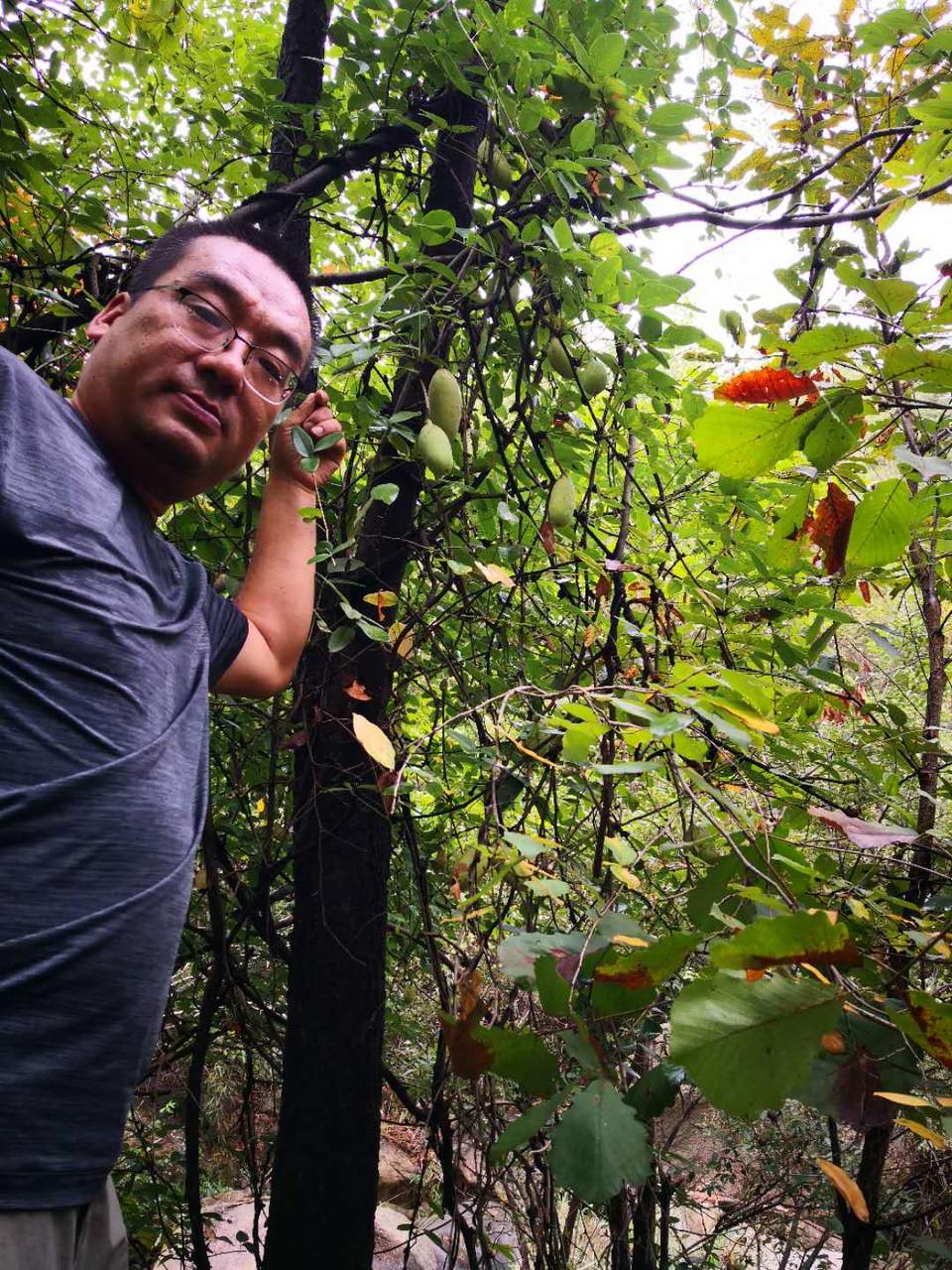 i5h6sG_hV0O4Ak-VRXIy0PndXRjrtBpOu3uGqGDyR_GxRN4oEFPbTJJzwNrQ8WGv