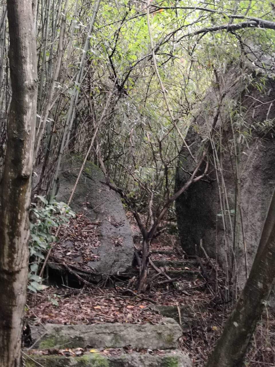 Y-EK1rpMQdaCMJYhrnEboPzTMNx3d2zz28lgSwuKkdIEElG5m6NKOtewVQlUu7wu