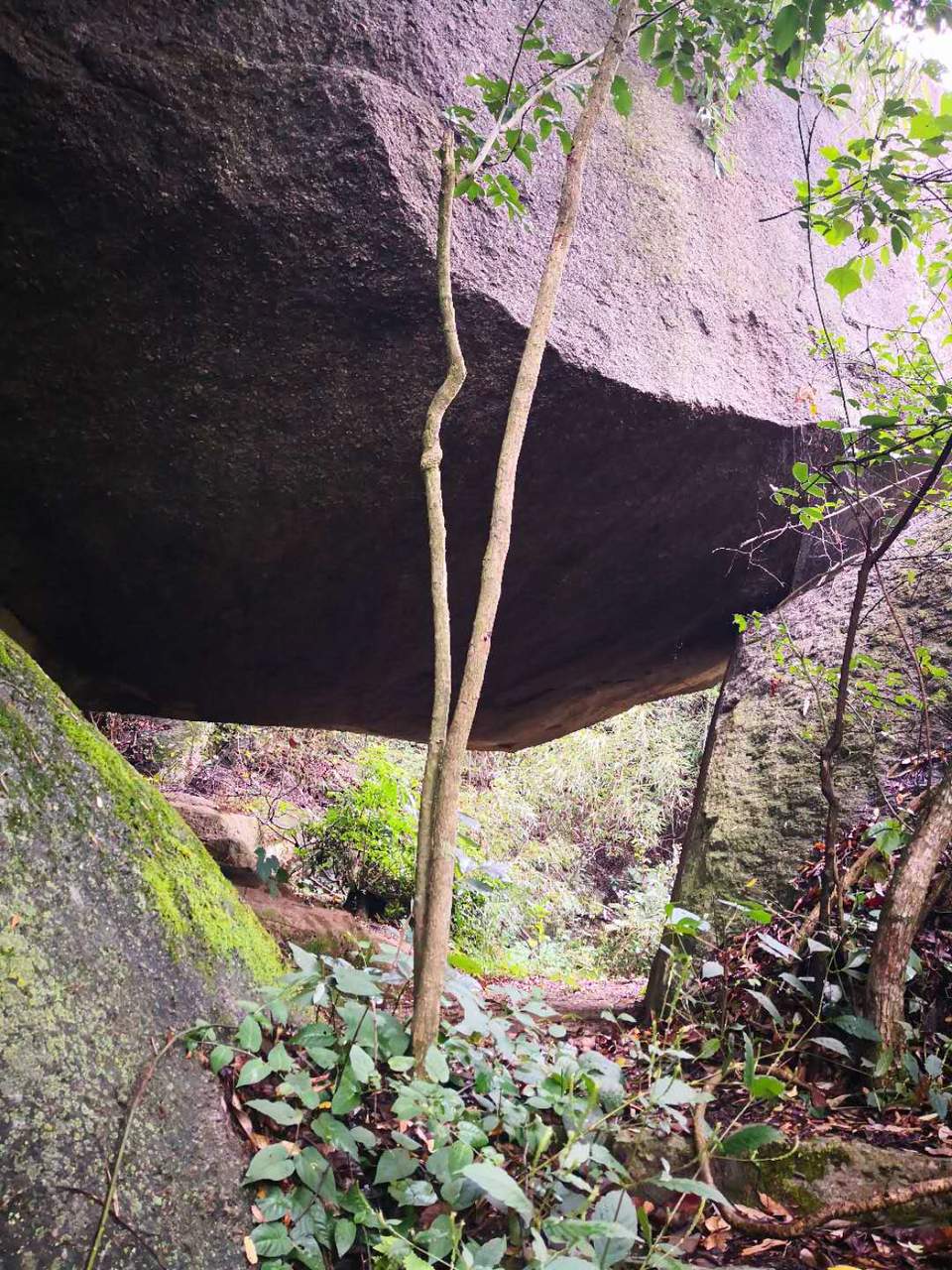 jYnf5Q8t_ejlTNmQ3ekIPOp3HsH9DH-ILgDUtKeqbBkjUPP0ZQxpUfveHpMjLhiY