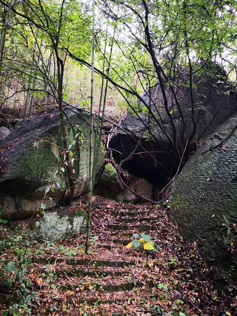 DCg9JYOCKLDQlK8RyFOtn_aC31aTYOCaVcso2wpondy1FVS_uLTiJZOl6F0PdNGq