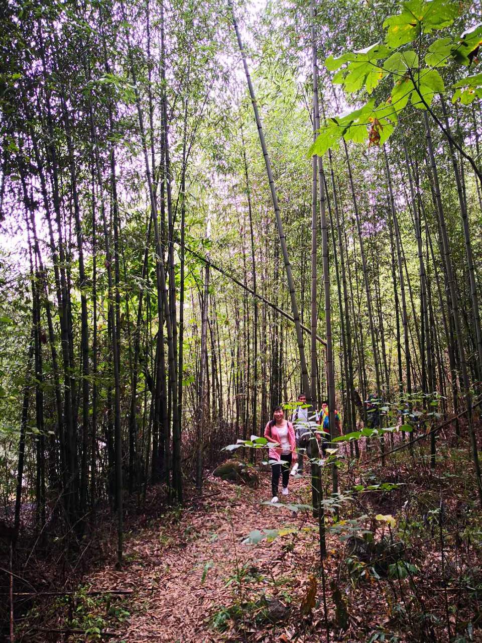 CGWET10UrtEA-osccw8juo0cty0AVbmj-7ZR_qusI1HDgK9x_yIi6Y44MtEcZaMV