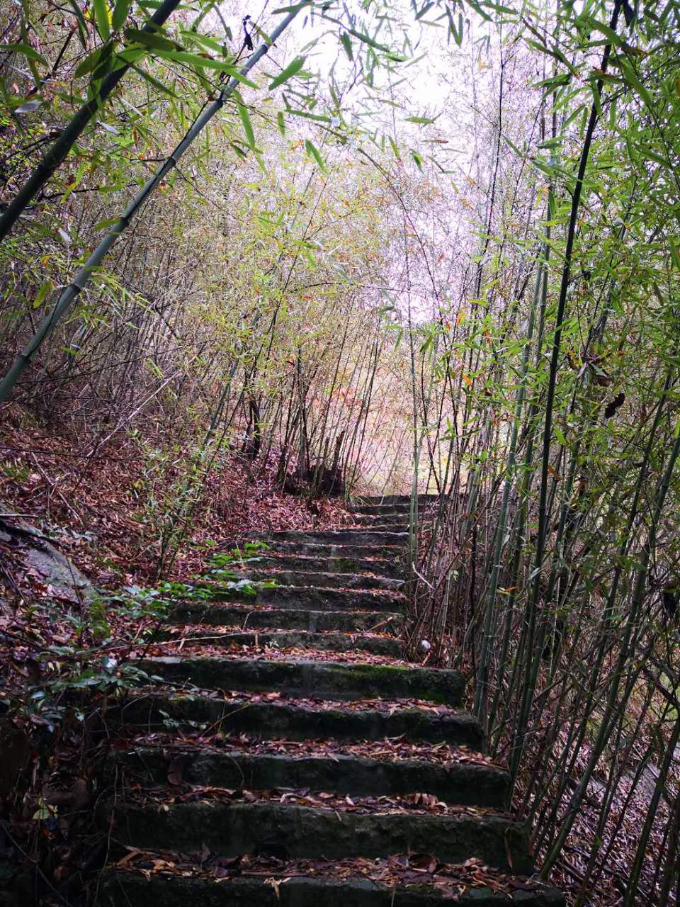 6TzgyVfieoQa_bzJRXtqRtMEGHs1DJ9QA1RnfkmhjWRdXl8dmchuEwwaiElA8b7J