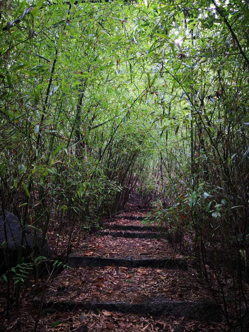 bN6Y_dJl1CJ8yhvCKVrZsXHpG8n-Ta2miEYmBg33qgVIzYmyW5GHDCHt2Q_qSrU3