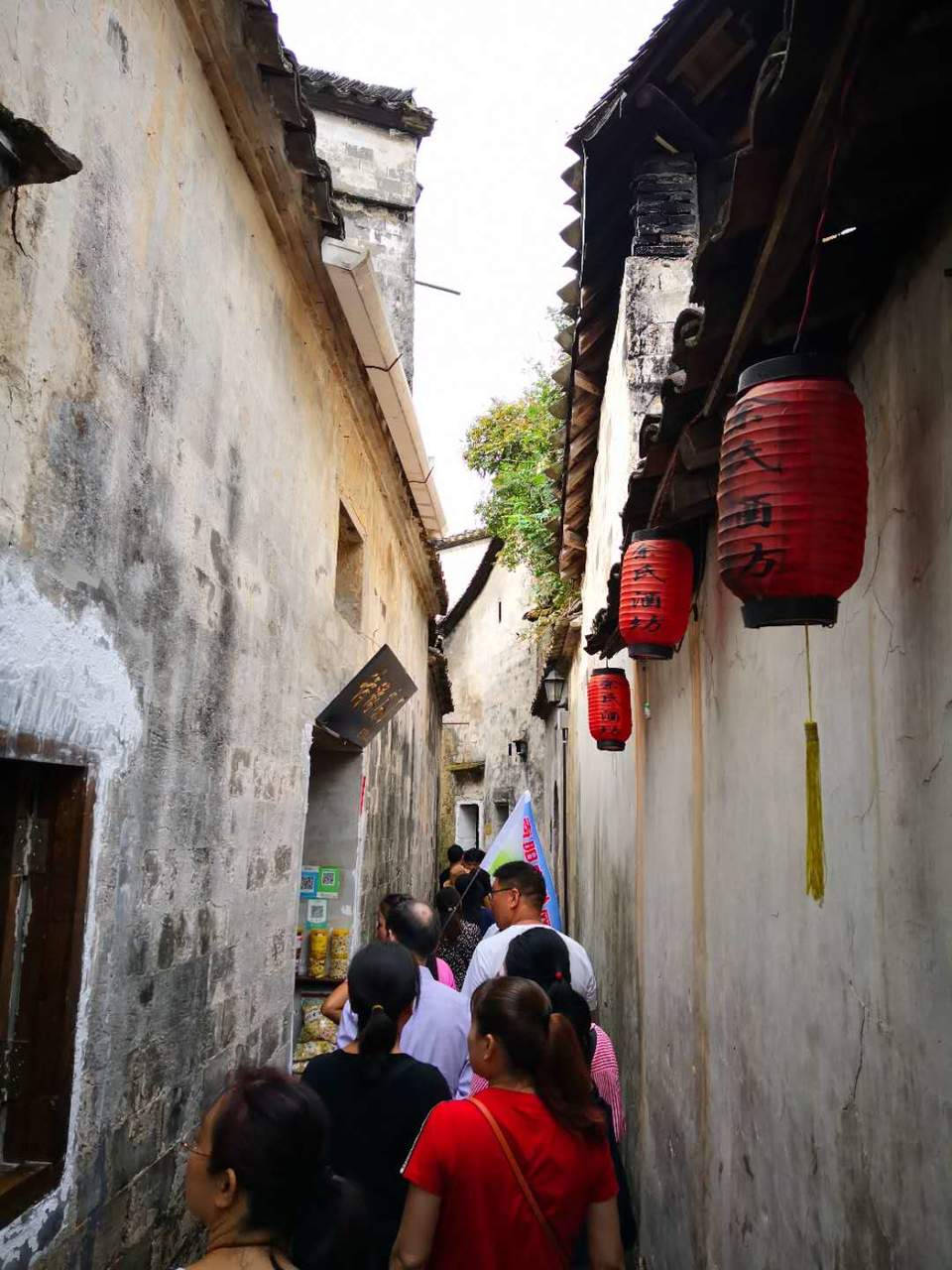 nTd4jNfx2gPLY5XWvF3juR2gfalTXlY7zzayCLr4OHIhVGIYWUb9txaiWEqSffcn