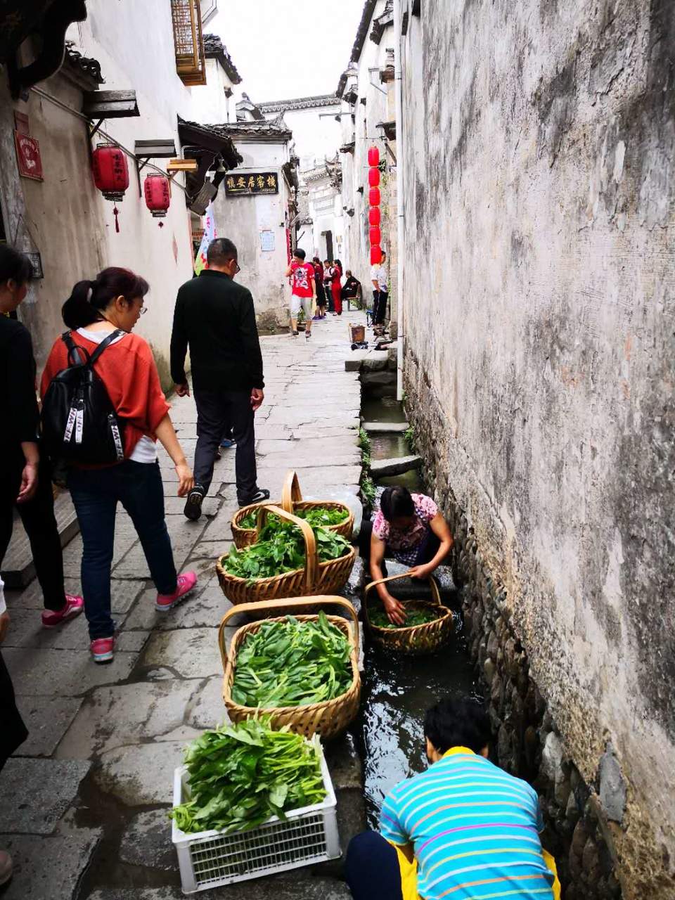 ocro36xdzgbkVpDRyoYBsdbcNvCaUTGaOnnTjsEoNNDmUyO4hZhbT-YzVWmo4oAz