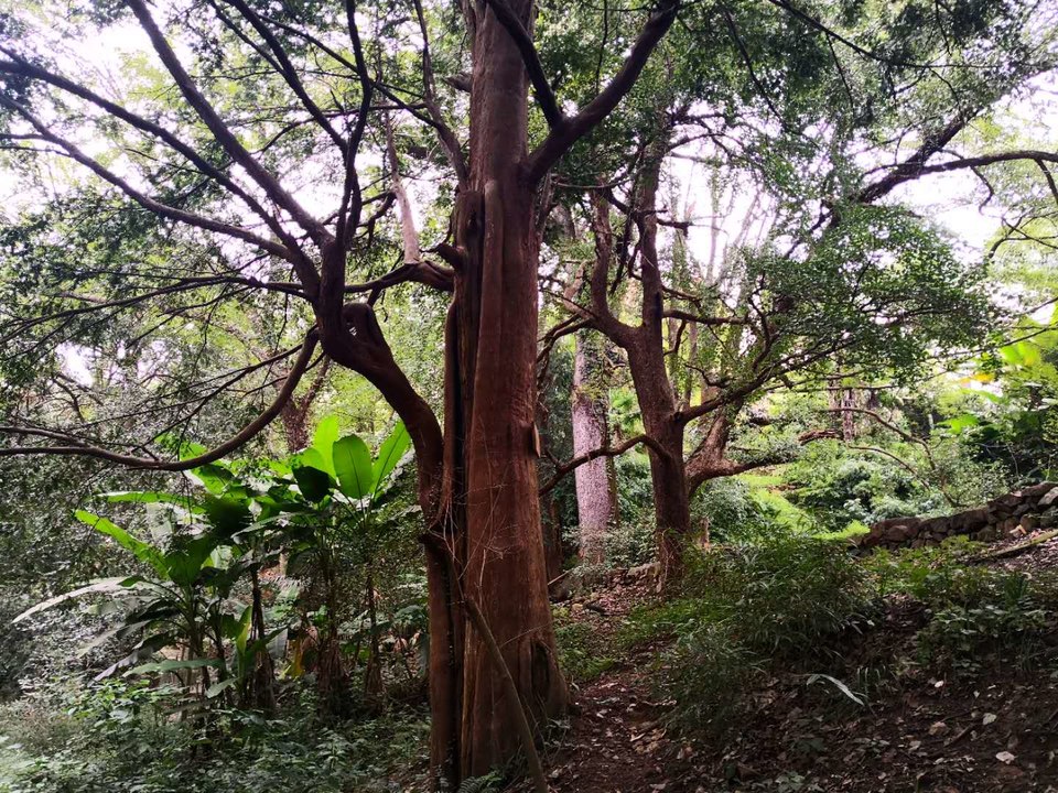 hKD1pAtzEN1XdKLdD9tlVj0MMKKYuGJeoJ2QByaock2pmDR6qHSlcCrVp4UmGIN2