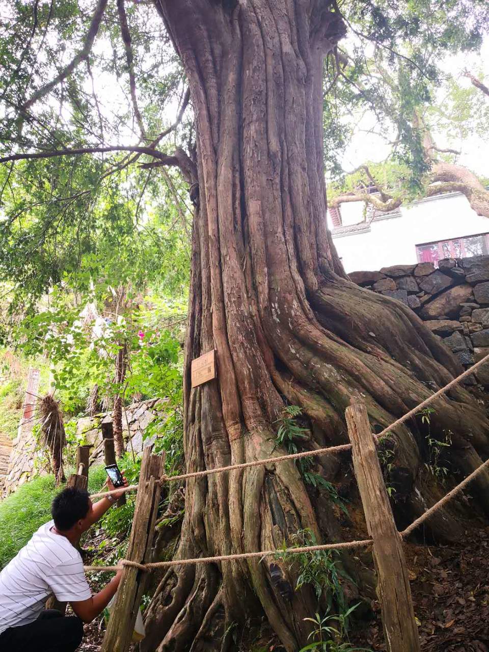 0dTP-zqjhPG1oALba2JnoF0D6SgFSQnLOknQoYxLHZP0pZ2HS60WgGbZPRPlS39a