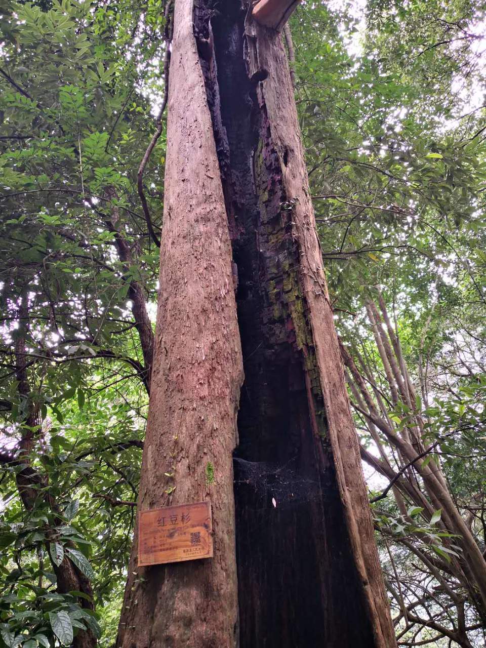 DFgKUHjDey_wckM61o8nxSwD7cPrcT_SB6-PG8xVXUk7MG-zMmsUR77e45TLszYs