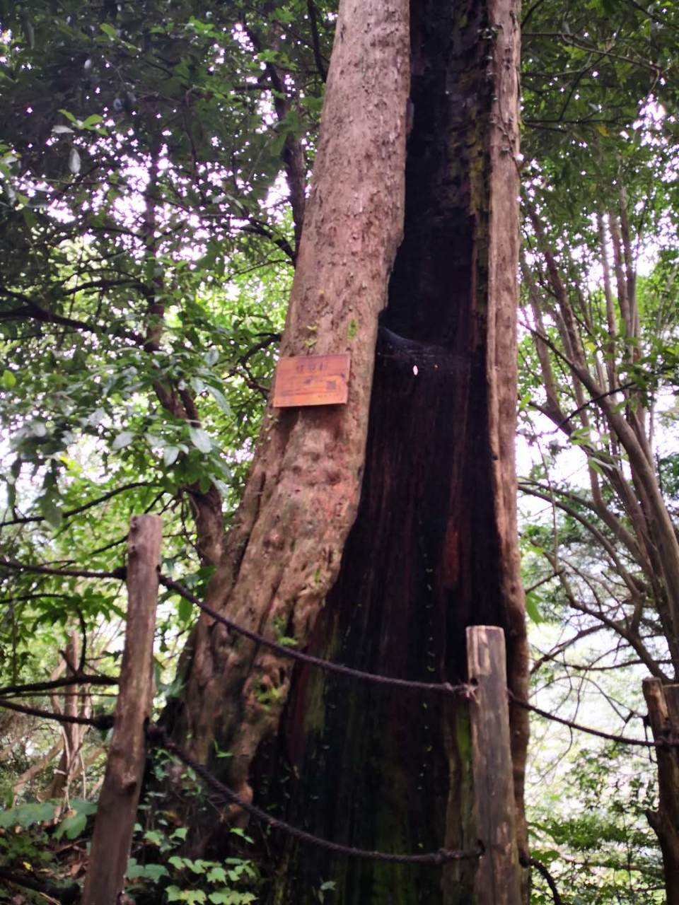 7qu3l700m-yxrI-0LSolGATMOI0TG2srtAxPyK0Cpl8b-R6bMKupLYblhR1utRyr