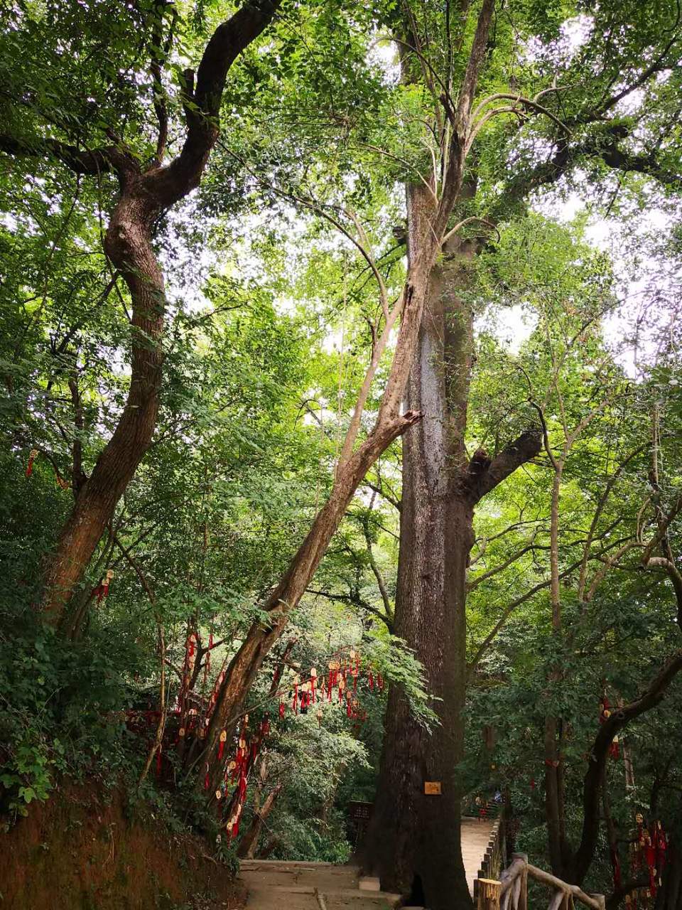 c8kLNKcq77bat6KM_GTr0aUxaKmSrvo_km90YFlcOI8-AbJD6PcneK4e72A7zI18