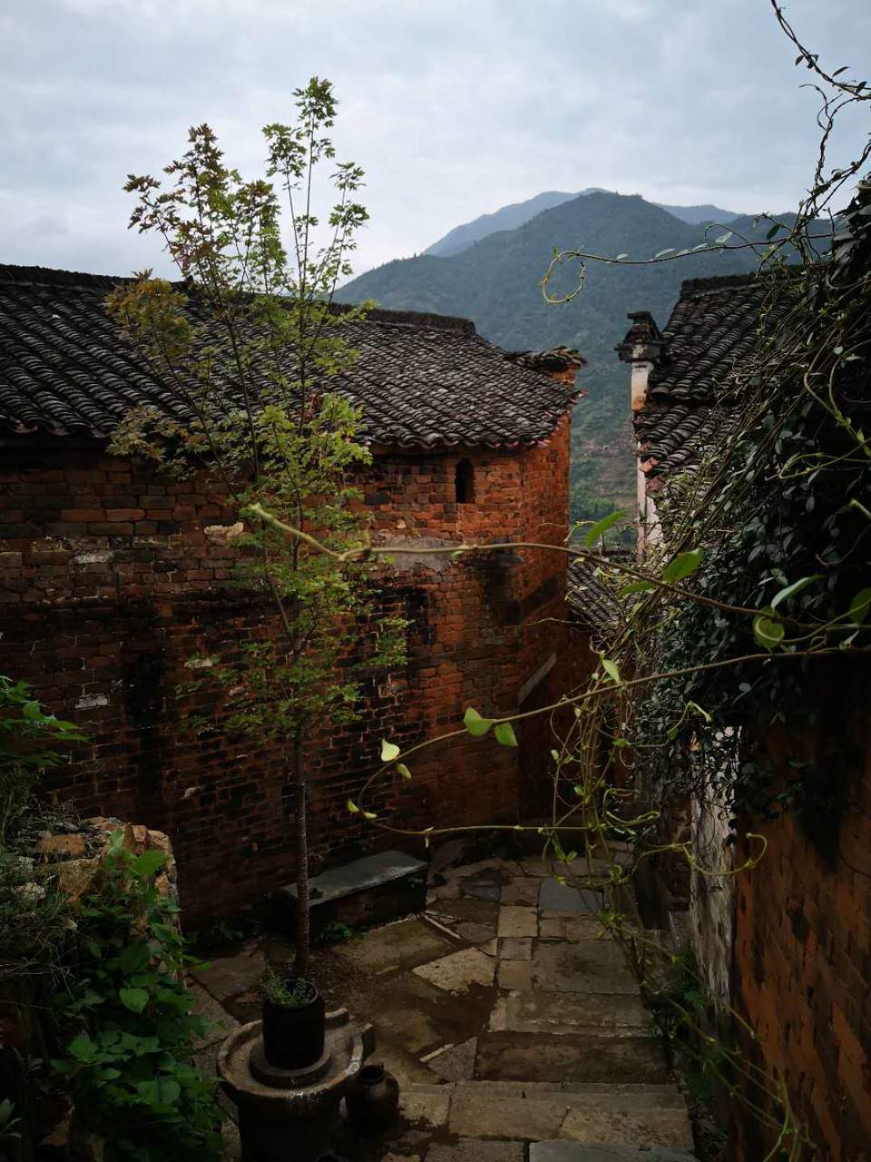 krYEcxGV2zq-wLU7NGhkLui-6aTXiMW143X4_bdO-3jEIPMiWT2ZKG9L19cfWTlu