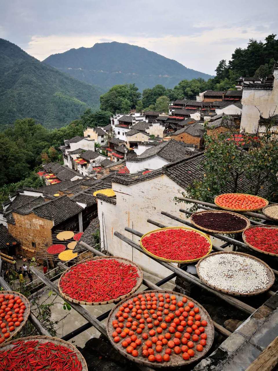 xs8LE5oD-mXN35q7Bl3BiuOERW_C4hxhNvuJOlq0PGpSDzyJZJvicAP1wfWZ_JI-