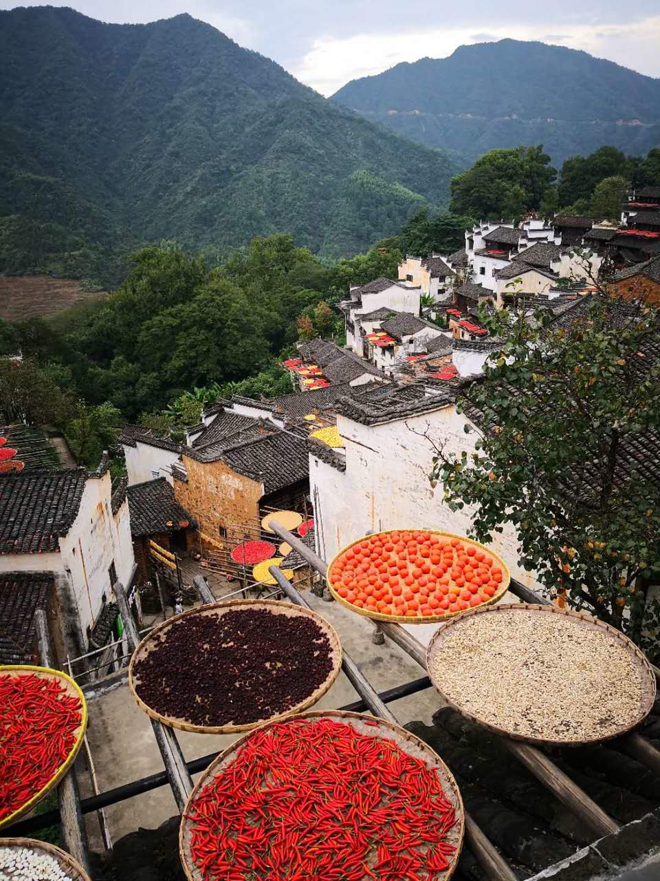 Wo4X4yVylDx4gZeZdsr4UY5wCwdwWbqudEwUh9lRLDn1NJ3DozL8Kp__pRo1VLXV