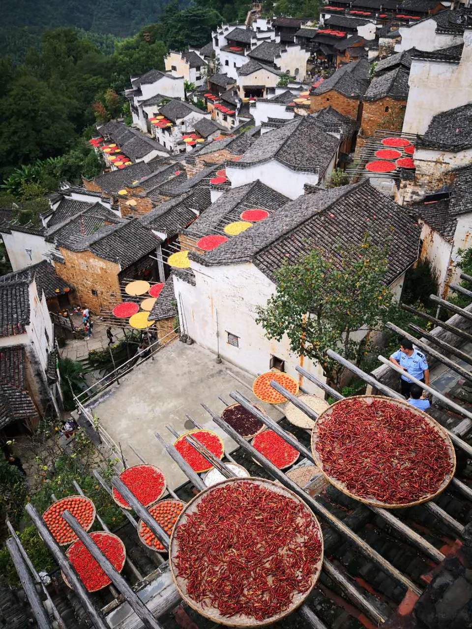 toh--mz_yjjEZufHwIxyxplOv_GaJdLcaGWO74NXqdmy5gPnLQg4SPl43MqdTjzu