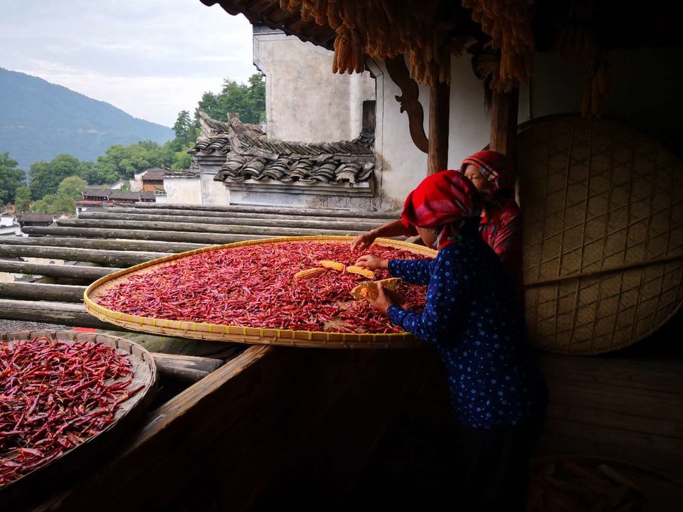 lWs3i1bpLpTAj3Evp8mu-sIHluOw7W580nn72U4nPES_nGDdVx9Xkc6kfTdmzl_l