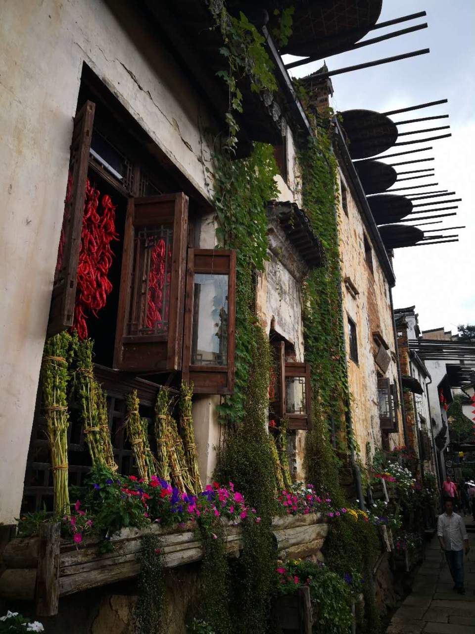 mS0spDCLnIlzUp7E_CvPu42G4LiF6wECdJVIr8e7BEbirrvpxLl5D05EEiTOBf7y