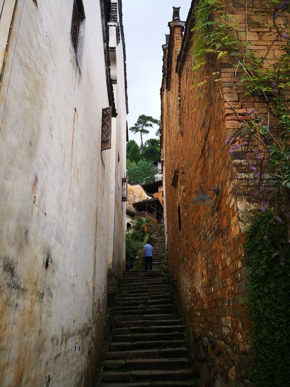 F7bbb6guWi5rEfPx6A2QjKTXh6_NrOBQYi9cdIo8OTusZWoBQSoKewEGw8gt5-eP