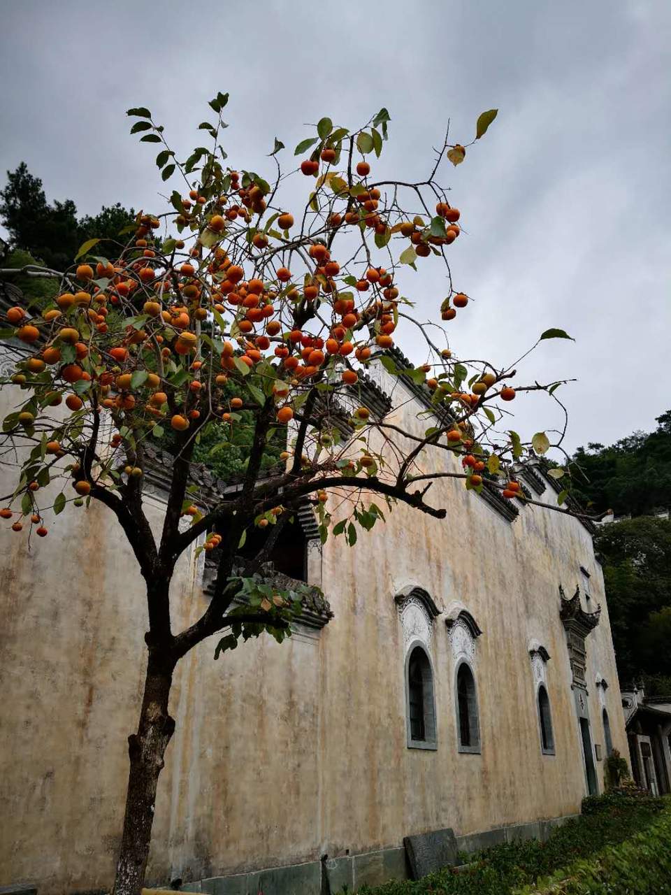 XsrNJ10Od1Dv9zXNMC17eZVcwZjz17Fys5ifhi-UZaTtVaTixT7osIYBRTTsepiL