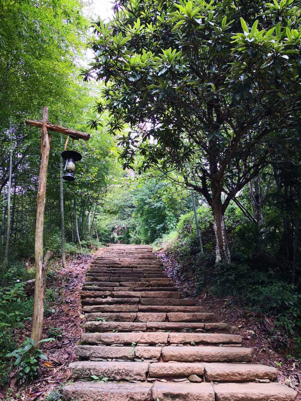 5MAkve7F_goICjFDAqXpHaKbGb4jxq6Go5iktrXKo3MnNWUhXJGnYQUAq4Odujja