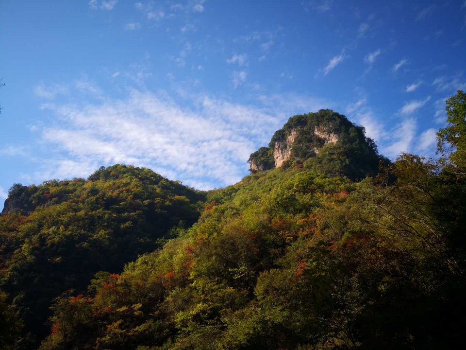 55rSQOvlEx5JpmqQX1KFYKkJUDIxJX7EZEXo_Q2mII-oV5ZjyeNxv7beAn3Gw0rg